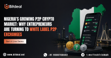 Nigeria’s P2P crypto market is growing fast, pushing entrepreneurs to launch white-label exchanges for quicker, easier entry into the crypto industry.