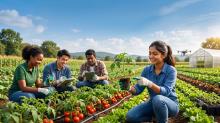 B.Sc (Hons) Agriculture