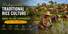 Madagascar's Traditional Rice Culture and Rural Village Experiences for Travellers
