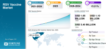 RSV Vaccines, RSV Vaccines Industry, RSV Vaccines Market, RSV Vaccines Market Size, RSV Vaccines Market Share, RSV Vaccines Market Trends, RSV Vaccines Market Growth, RSV Vaccines Market Demand