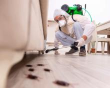 cockroach pest control Central Coast