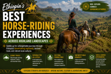 Ethiopia's Best Horse-Riding Experiences Across Highland Landscapes