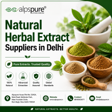 Herbal Extract Powder supplier in India