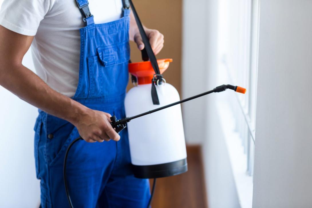 pest control 
