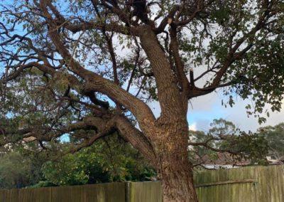 best landscaping services