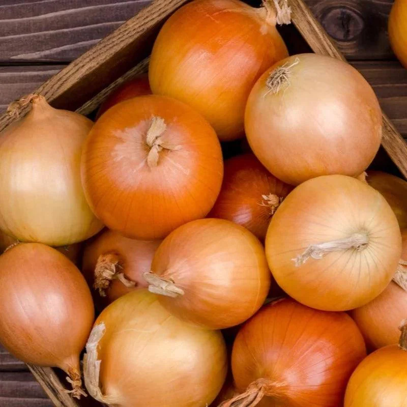 Yellow Sweet Onion Seeds