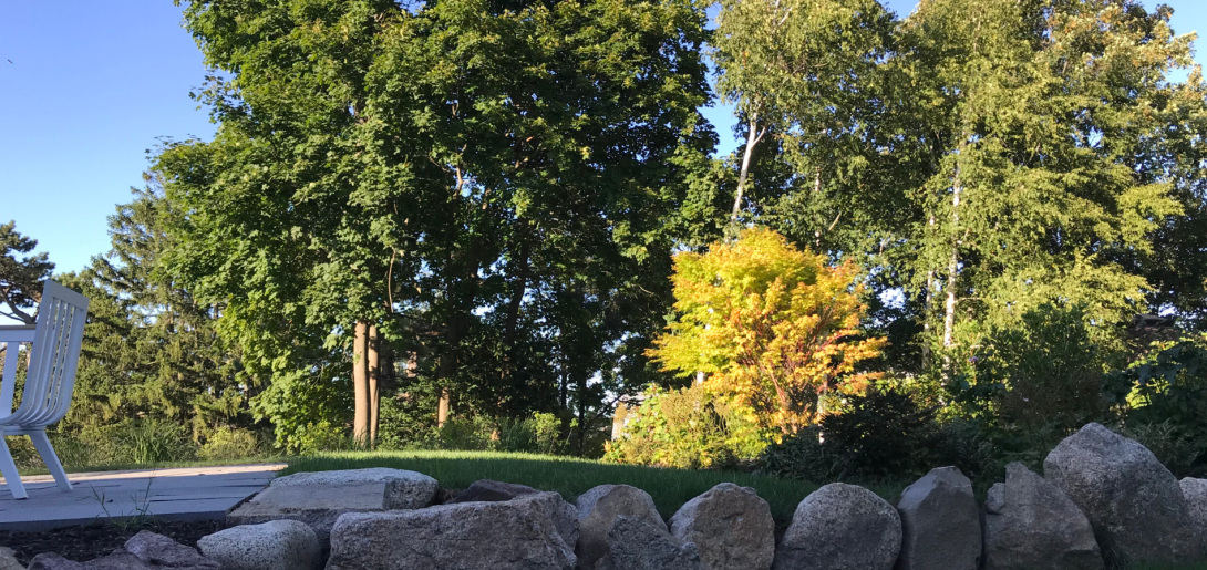 swell landscape design