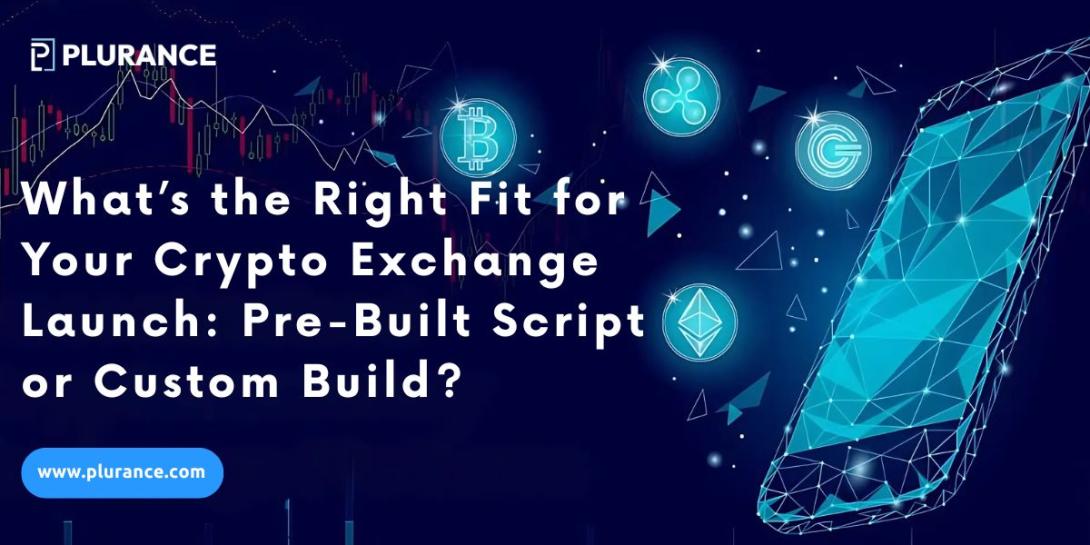 Crypto exchange script vs custom development