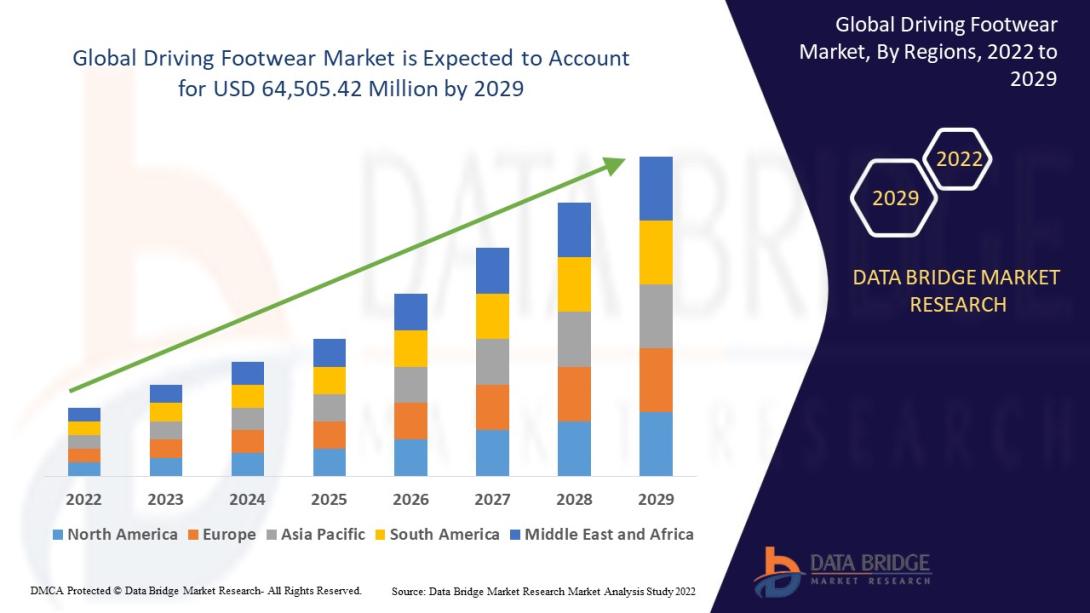 Driving Footwear Market