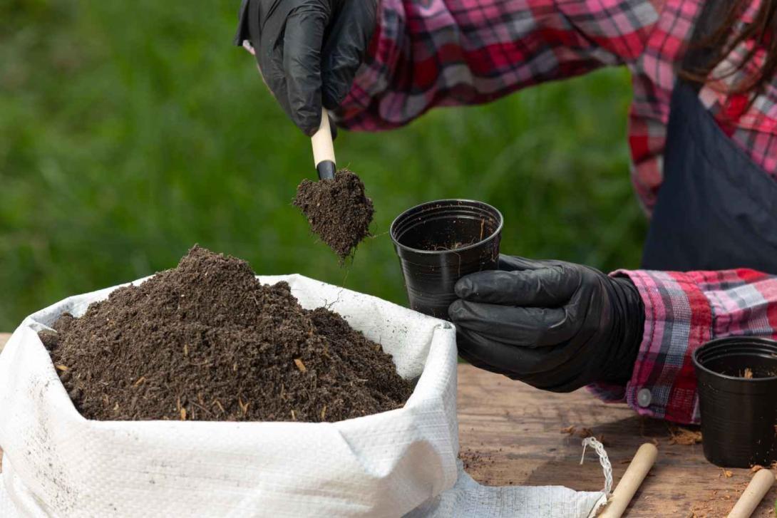 benefits of organic fertilizer