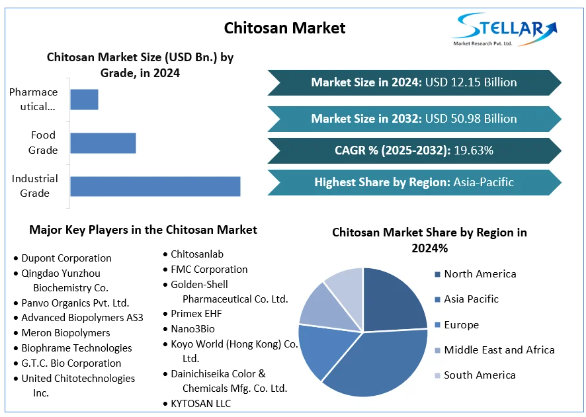 Chitosan Market, Chitosan Market Trends, Chitosan Market Analysis, Chitosan Market Report, Chitosan Market Overview , Chitosan Market Revenue, Chitosan Market Opportunities, 