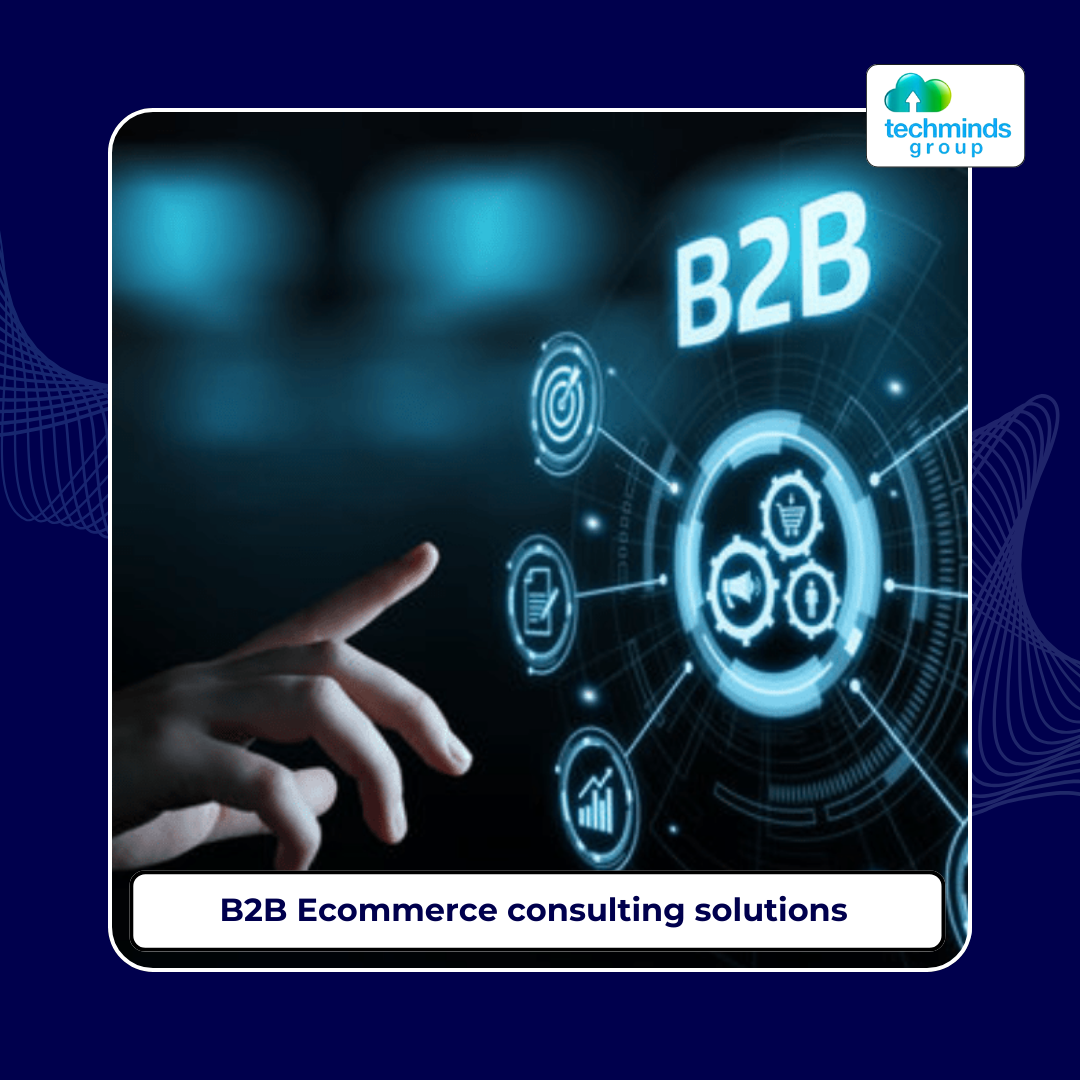 B2B Ecommerce solutions