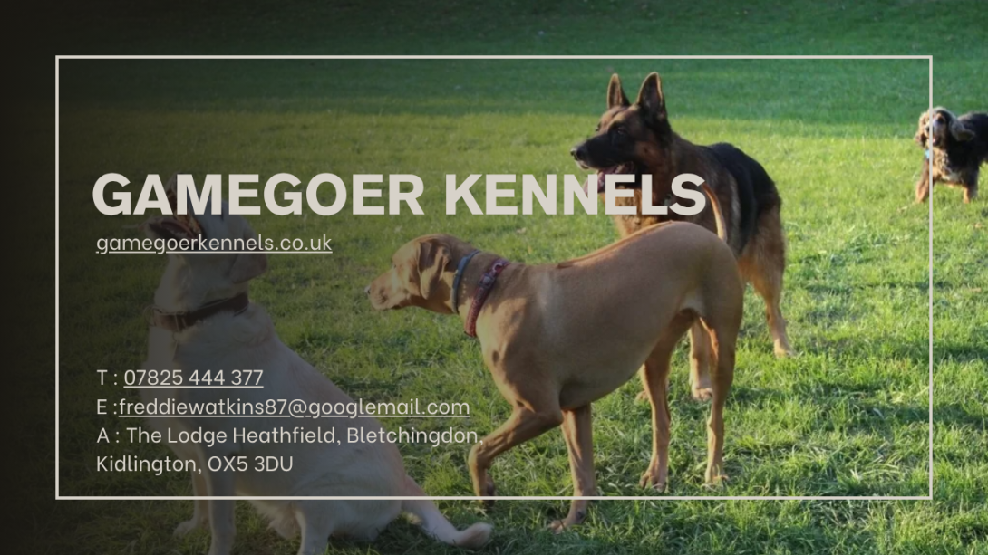 Training the dog is important to stop them from barking. A proper strategy can help address this behavioural issue effectively.