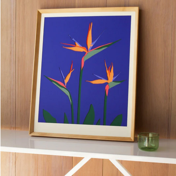 Lapis Bird of Paradise