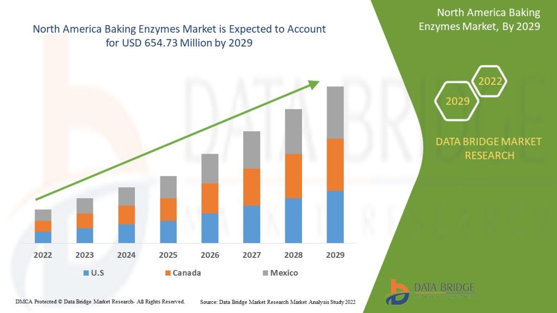 North America Baking Enzymes Market