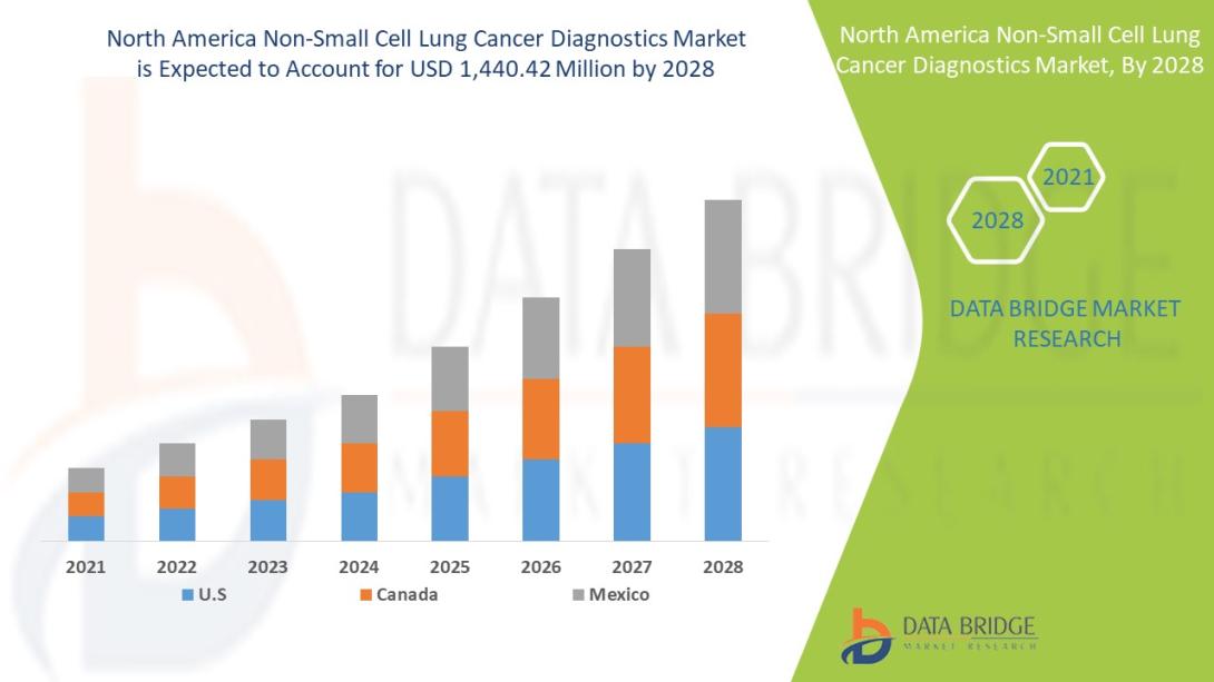 North America Non-Small Cell Lung Cancer Diagnostics Market