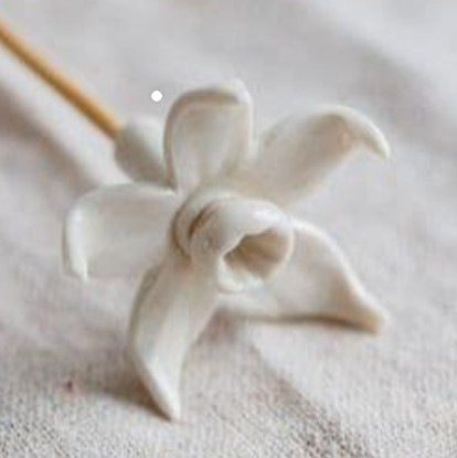 Porcelain Daffodil Diffuser Wood Stick