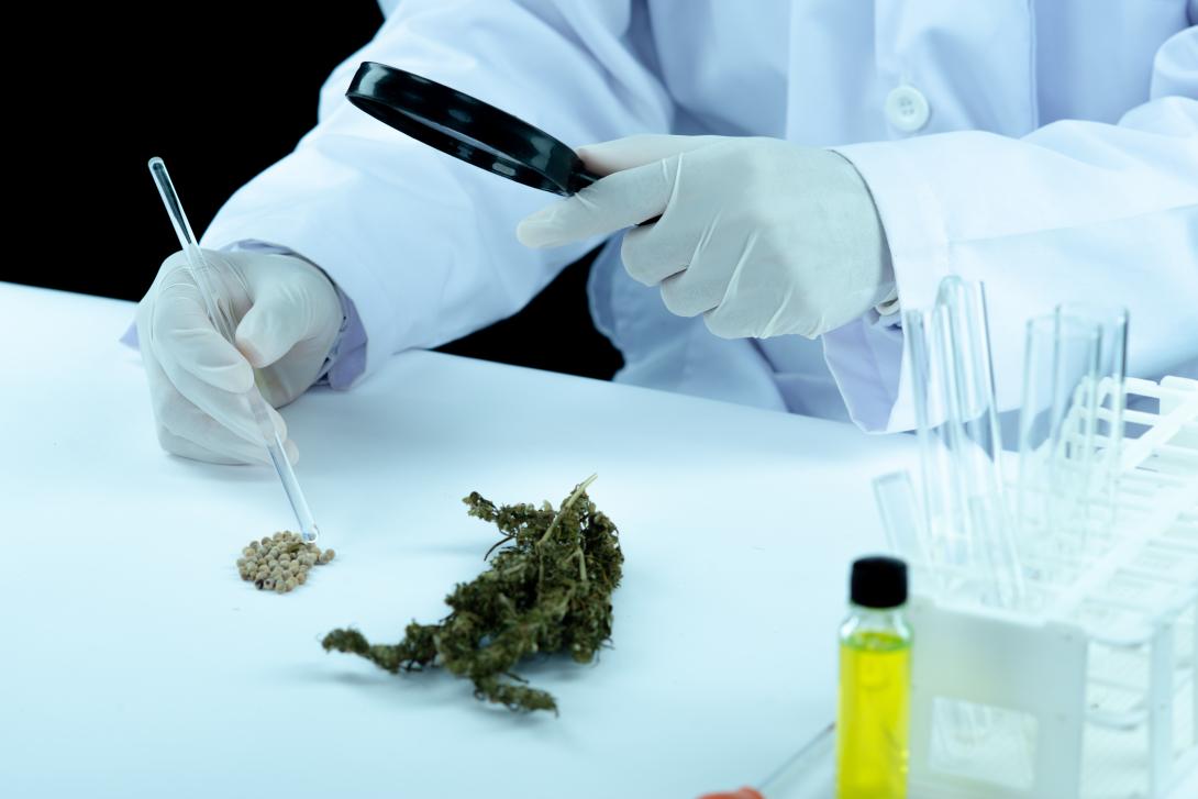 Florida medical marijuana qualifying conditions