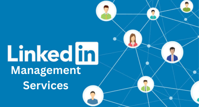  LinkedIn Ads Management 