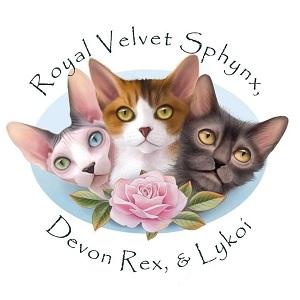 Cattery
