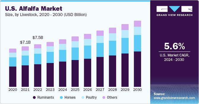 Alfalfa, Alfalfa Market, Alfalfa Market Size, Alfalfa Market Share, Alfalfa Market Growth, Alfalfa Market Trends, Alfalfa Market Analysis, Alfalfa Market Forecasts