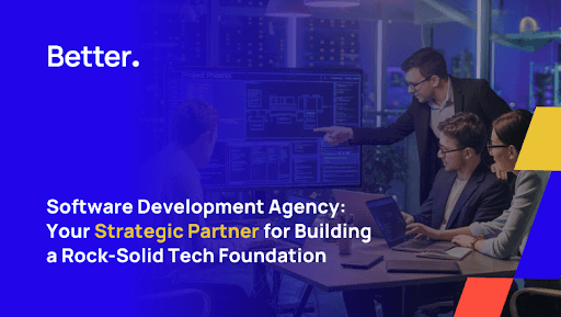 software development
