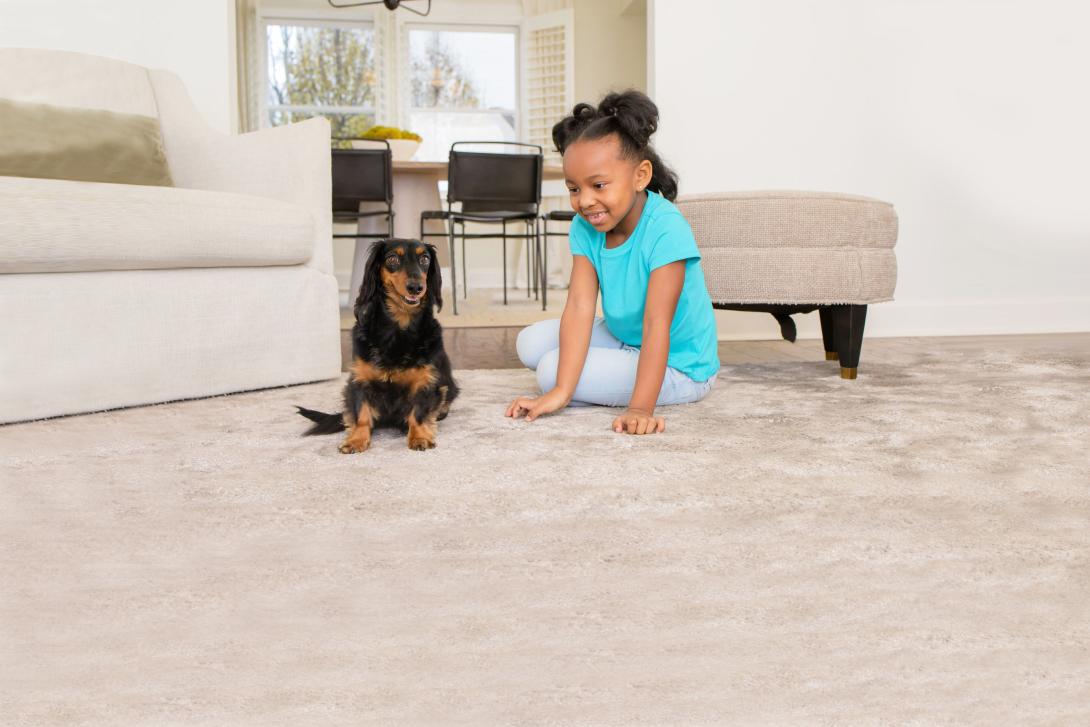 dog and girl after carpet cleaning in newport beach ca