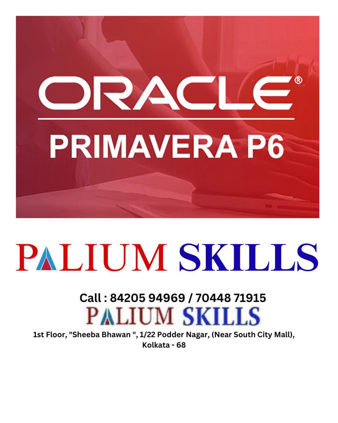 Primavera P6 Classes by experienced faculty in Kolkata & Live Online