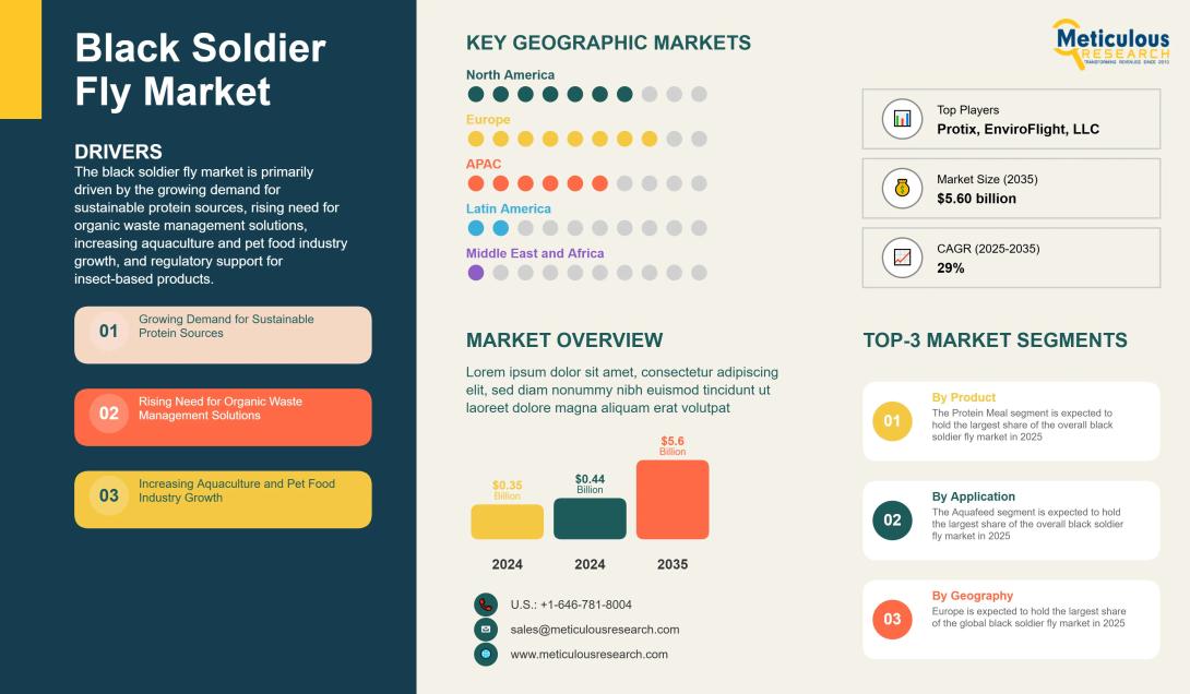 Explore the Black Soldier Fly market’s $4B potential by 2033—driven by sustainability, tech innovation, and global protein demand.