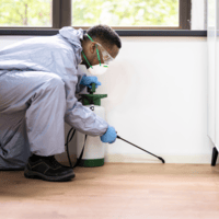 Home cleaning services Lebanon , Pest control services Lebanon