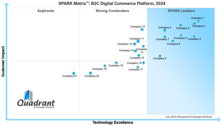 B2C Digital Commerce Platform