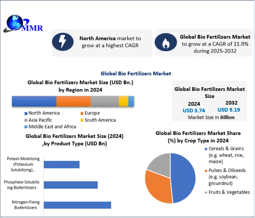 Global Bio Fertilizers Market size was valued at USD 3.74 Bn. in 2024, and the total Bio Fertilizers Market revenue is expected to grow at a CAGR of 11.9% from 2025 to 2032, reaching nearly USD 9.19 Bn.