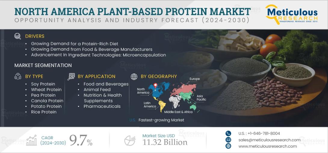 The plant-based protein market in North America is projected to expand rapidly by 2032. Key drivers include consumer health trends, product innovation, and competitive pricing. Food and beverage applications remain the strongest growth segment across the region.