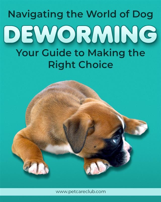 Navigating the World of Dog Deworming: Your Guide to Making the Right Choice