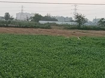 Property in Dharuhera, Rewari