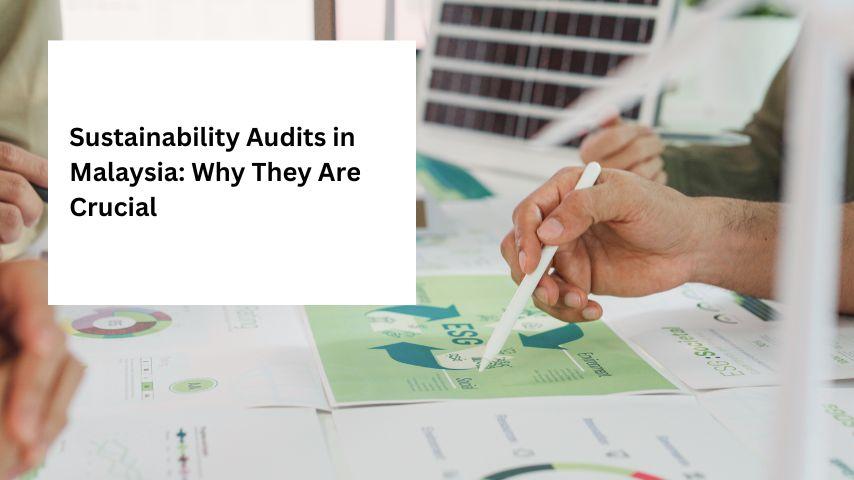 Sustainability Audits in Malaysia: Why They Are Crucial