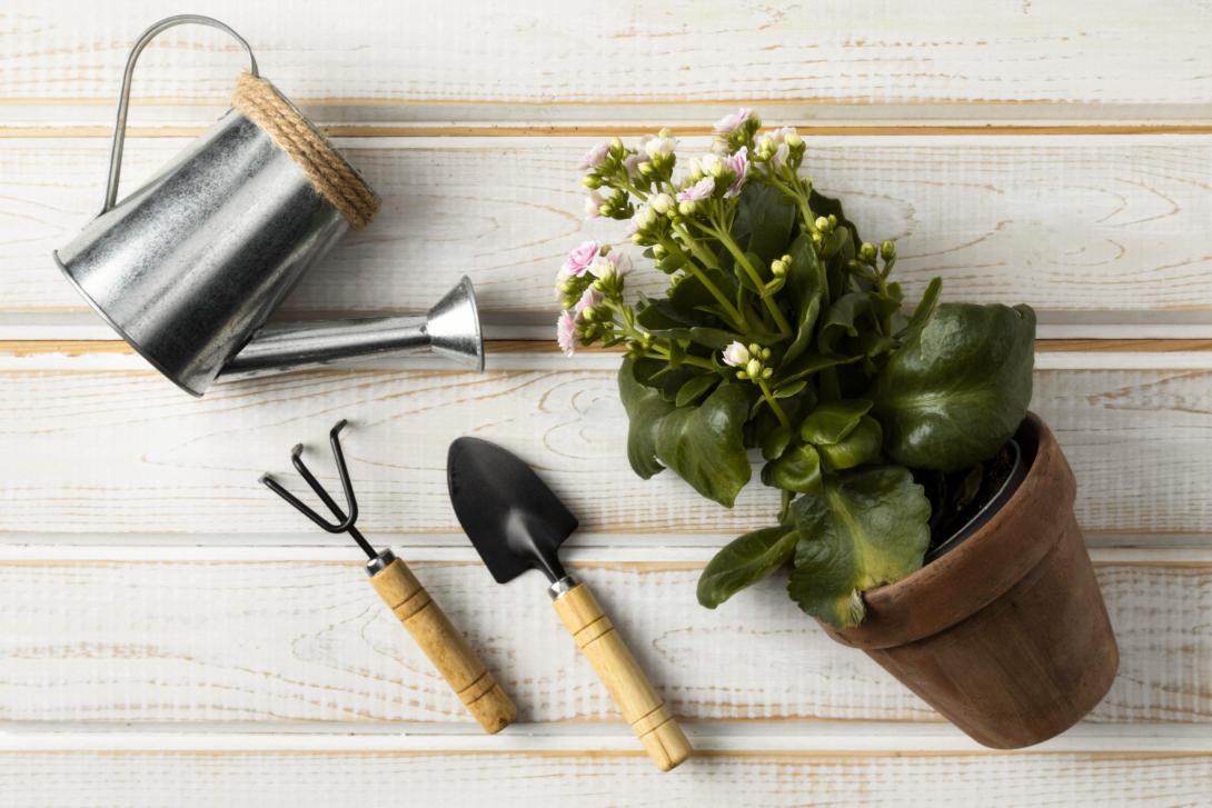 Gardening essentials 