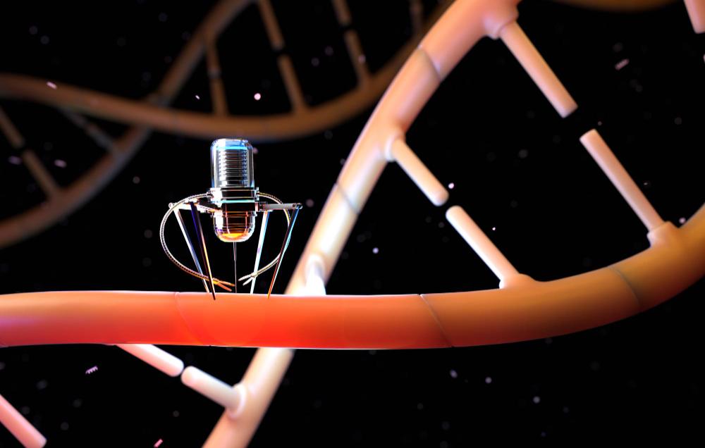 Nucleic Acid Therapeutics Market