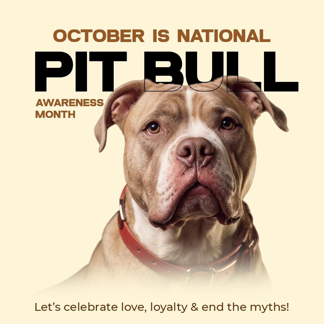  𝗡𝗮𝘁𝗶𝗼𝗻𝗮𝗹 𝗣𝗶𝘁 𝗕𝘂𝗹𝗹 𝗔𝘄𝗮𝗿𝗲𝗻𝗲𝘀𝘀