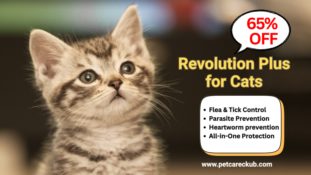 Save 65% OFF on Revolution Plus for Cats - Limited Time Offer!