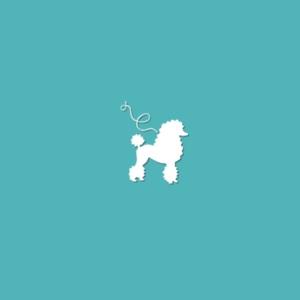 Poodle Breeders