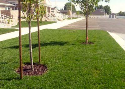 large lawn after sod installation in salt lake city ut
