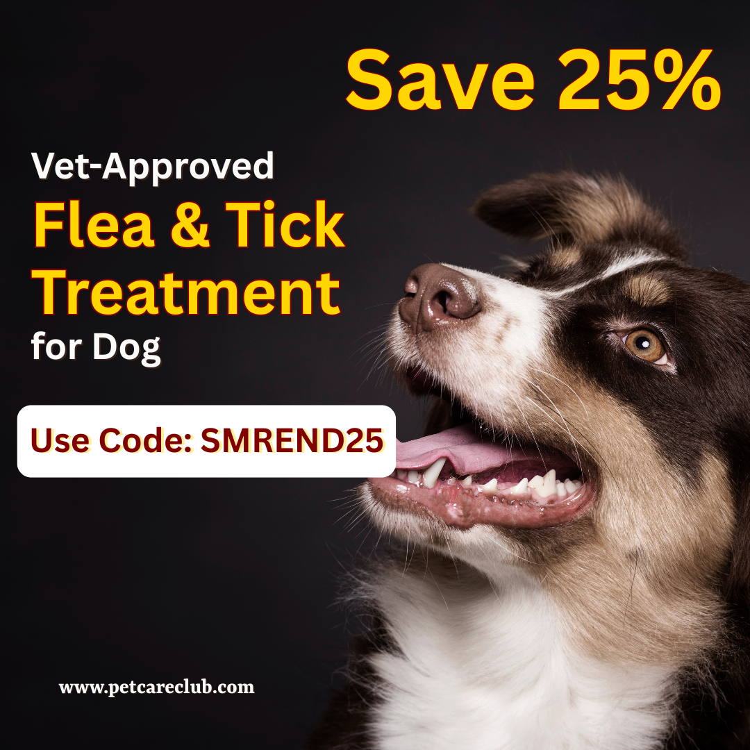 dogcare, fleaprevention, tickprevention, doghealth, pethealth, petwellness, petparents, petlovers, happydog, petcareclub, dogprotection, fleasandticks, petcaretips, doglife 