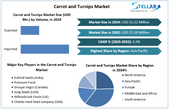 Carrot and Turnips Market, Carrot and Turnips Market Trends, Carrot and Turnips Market Analysis, Carrot and Turnips Market Report, Carrot and Turnips Market Overview , Carrot and Turnips Market Revenue, Carrot and Turnips Market Opportunities, 