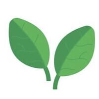 business loans