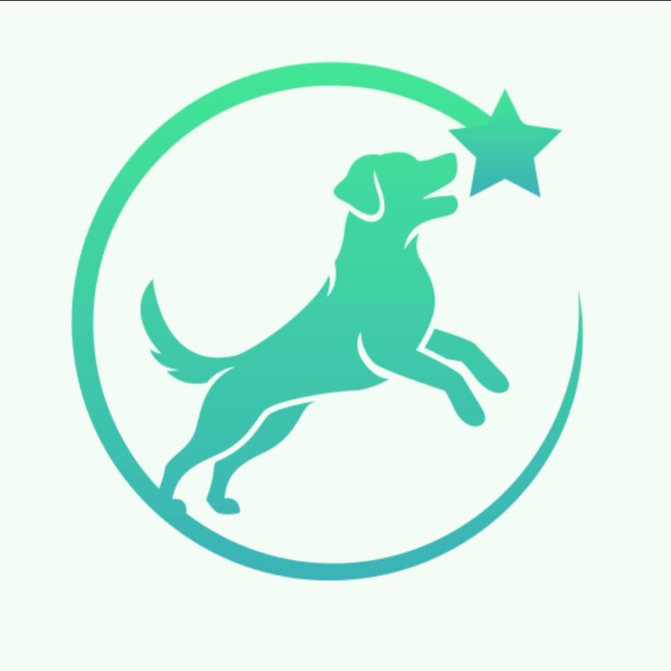 dog trainer