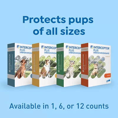 Interceptor Plus for Dogs - Vet Approved Heartwork Prevention