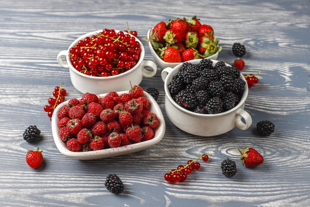 Grow Your Own Berries in the East Bay