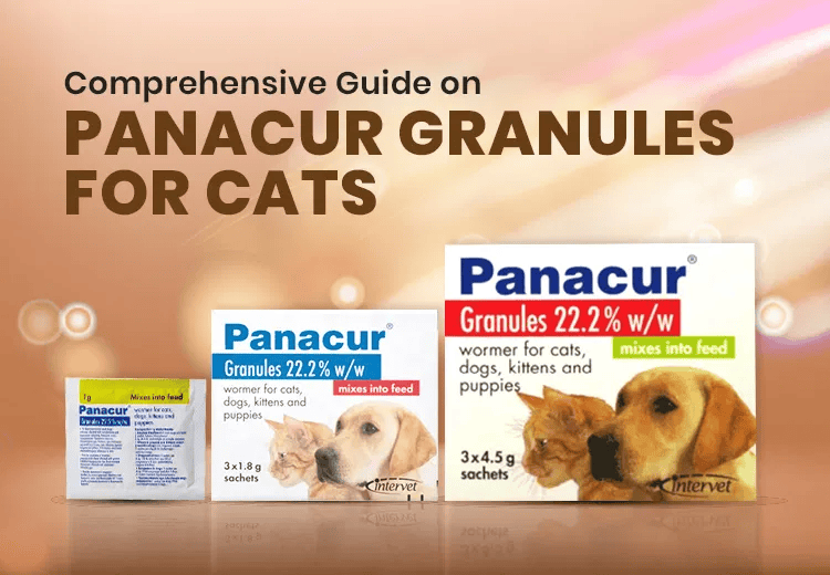 Panacur Granules for Cats - Now 30% Off + Free Shipping