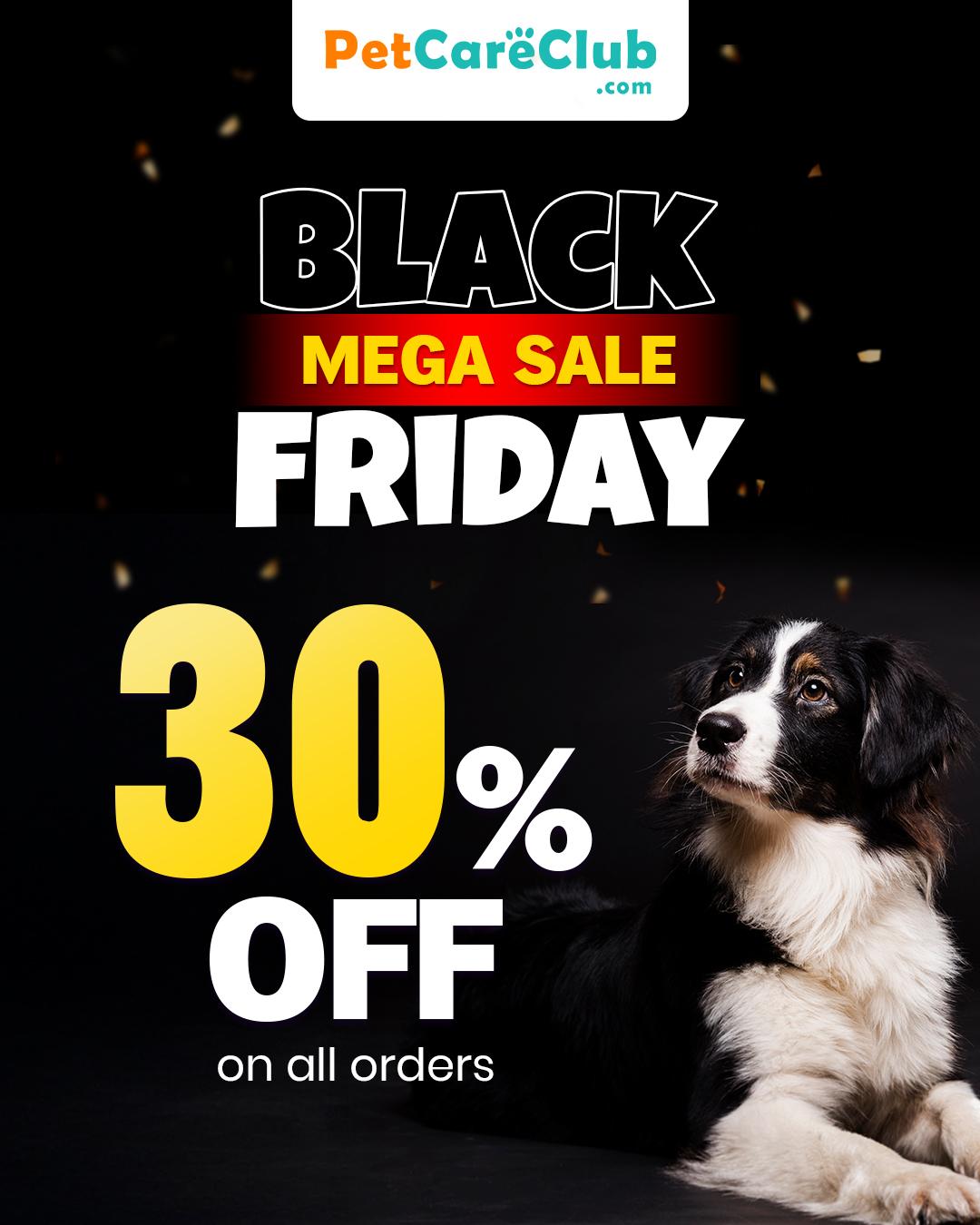 BLACK FRIDAY MEGA SALE - LIVE NOW! 